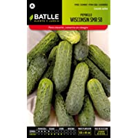 Los mejores  - Semillas Hortícolas - Pepinillo Wisconsin SMR 18 - Batlle